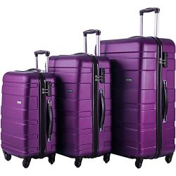 Merax Afuture 3 Piece Luggage Set Lightweight Spinner Suitcase(Purple)