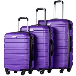 Coolife Luggage 3 Piece Set Suitcase Spinner Hardshell Lightweight (purple2)