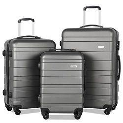 Luggage Set 3 Piece Suitcase Set Lightweight Hard Shell  Spinner Luggage (Dark grey)