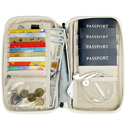 travel organizer for passport