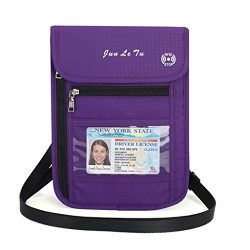 EA-STONE Neck Wallet with RFID Blocking Passport Holder – Concealed Waterproof Travel Pouc ...