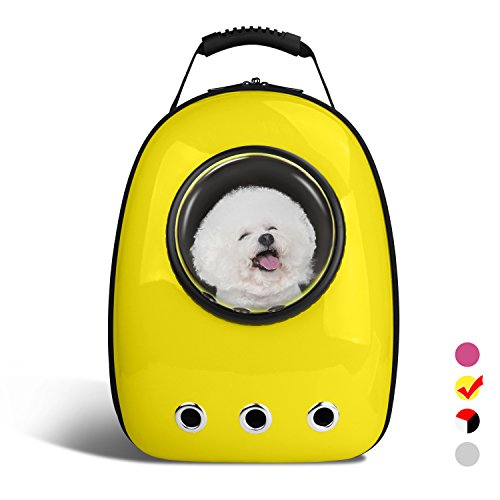 dog backpack capsule